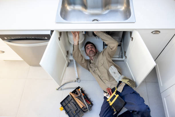 Best Plumbing Inspection Services  in Wabasha, MN