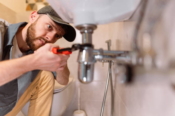Best Toilet Repair Services  in Wabasha, MN